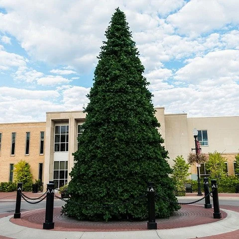 Olympia Tree Unlit