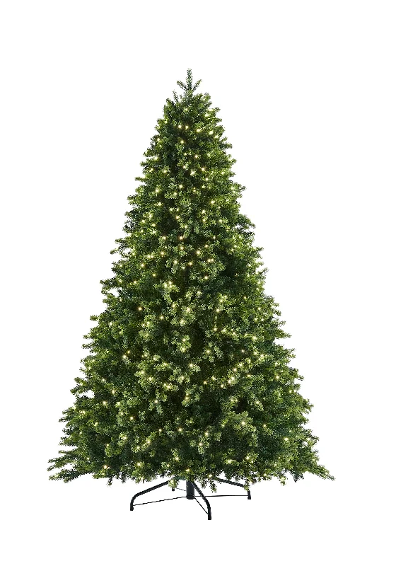 Bosk 6.5ft Pre-lit Oakley Fir Life-Like Artificial Christmas Tree with 650 LED Lights