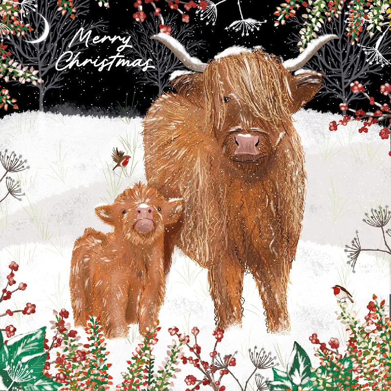 Highland cows and robins pack 10 Christmas cards