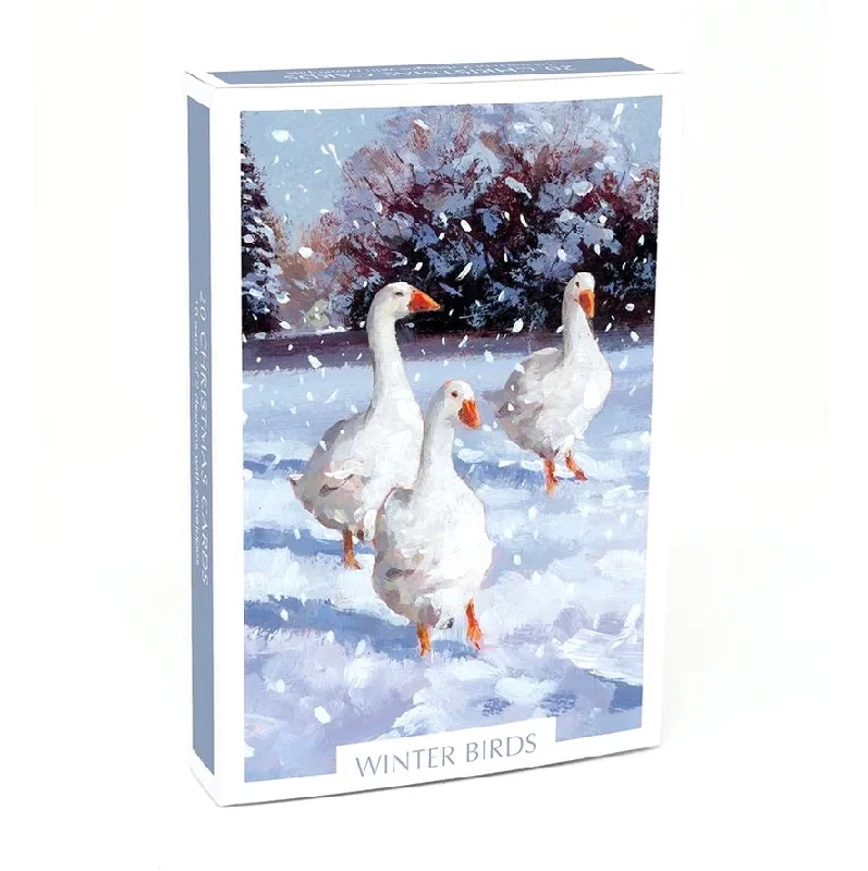 Museums & Galleries - Winter Birds Boxed Christmas Cards