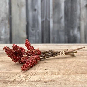 Red Sumac Flower Bundle