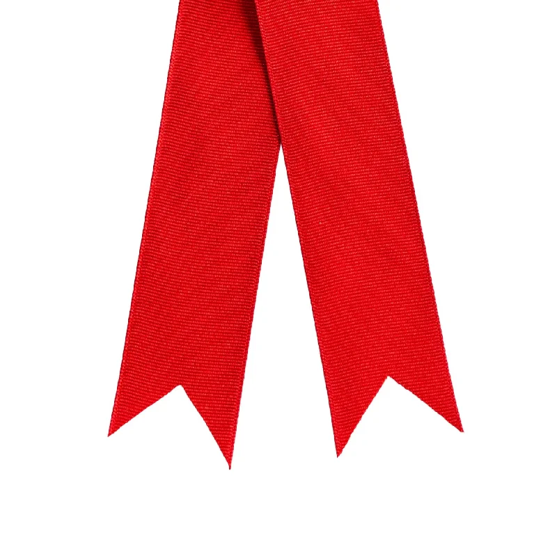 Large Ribbon - Plain Grosgrain - Red