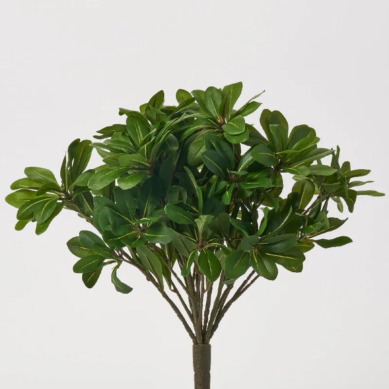 Pittosporum Leaf Foliage Faux All Seasons Evergreen Bush - 13"